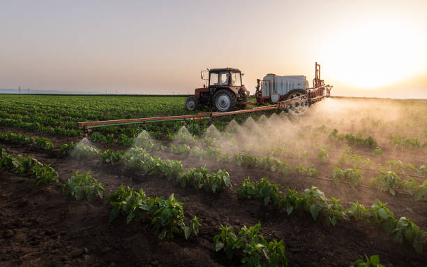 Best Pest Inspection Near Me  in Garden Ridge, TX