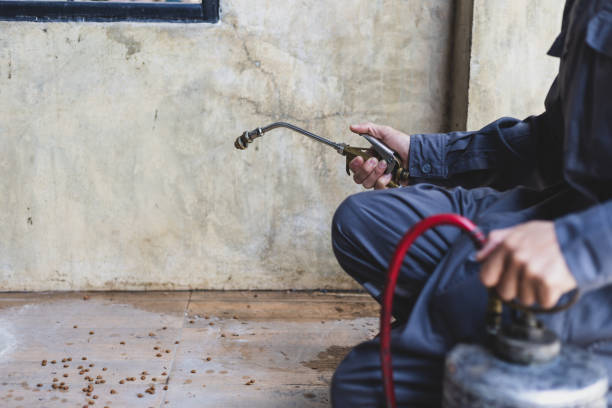 Best Local Pest Control Services  in Garden Ridge, TX
